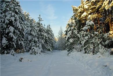 流浪巫师与Hololive EN达成合作，共同推出《反抗引擎》全新联动曲